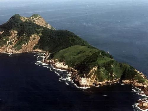 جزيرة الثعابين : الجزيرة الاكثر خطورة و دموية في العالم