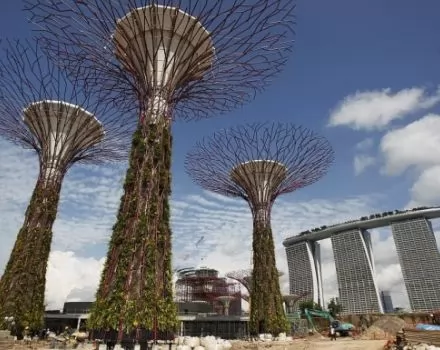 صور - أشجار سنغافورة الصناعية : فكرة مبتكرة لحدائق عمودية على شكل أشجار