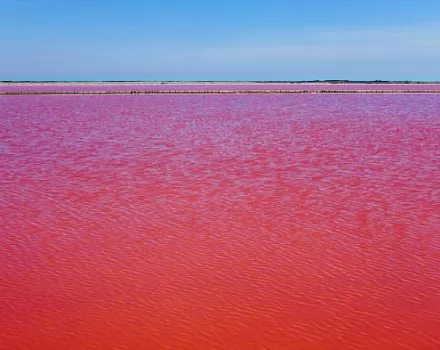 صور - في ظاهرة غريبة: بحيرة في فرنسا تتحول للون الأحمر