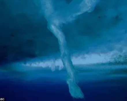 صور - تصوير الكتل الثلجية المدلاة في قاع البحر وهي تتشكل وتقتل كل شيء في طريقها بالصور