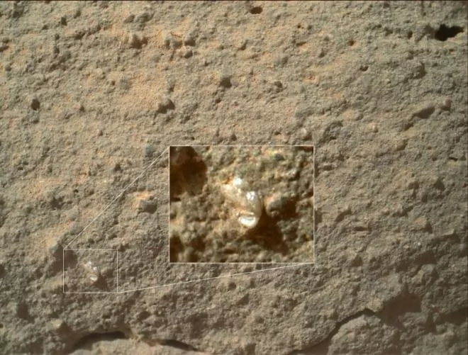 صور - ناسا تشك فى وجود زهور على المريخ
