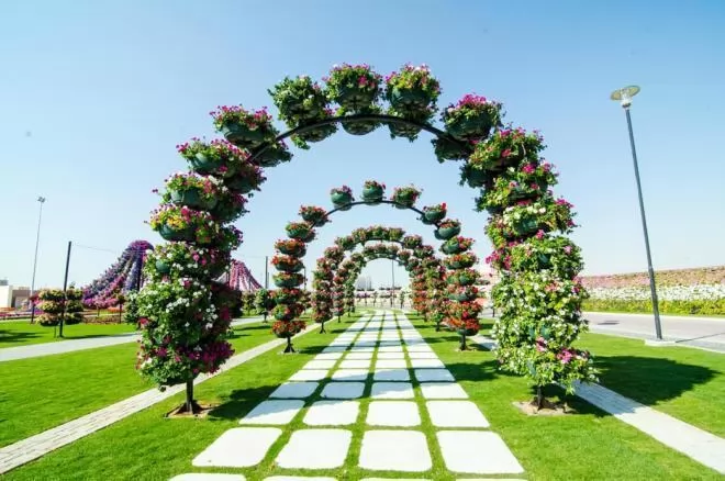 صور - دبي ميراكل جاردن أكبر حديقة من الورود الطبيعية في العالم