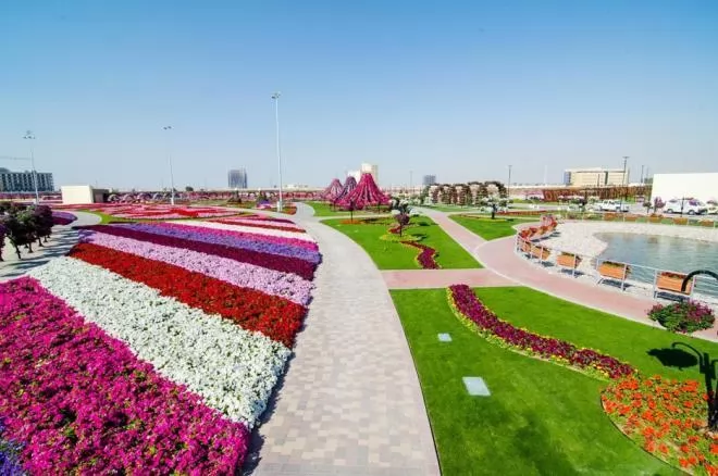 صور - دبي ميراكل جاردن أكبر حديقة من الورود الطبيعية في العالم