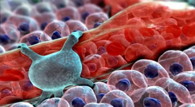 صور - صور مذهلة لخلايا مكبرة 10 مليون مرة داخل جسم الان