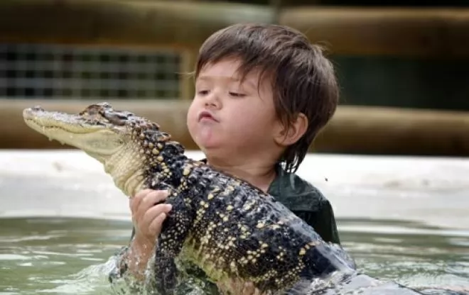 صور - اصغر حارس برية فى العالم عمره 3 سنوات يواجه تمساح بمفرده