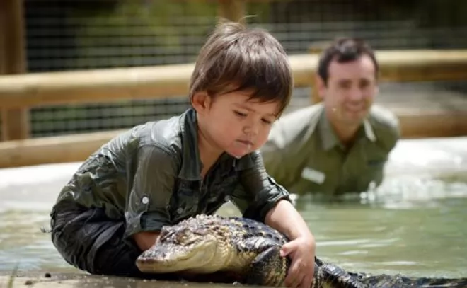 صور - اصغر حارس برية فى العالم عمره 3 سنوات يواجه تمساح بمفرده