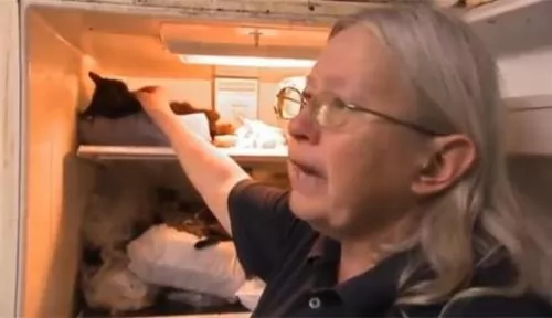 صور - سيدة تحتفظ بالقطط فى الثلاجة بعد موتهم حبا لهم
