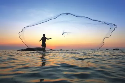 صور - كيفية صيد الاسماك