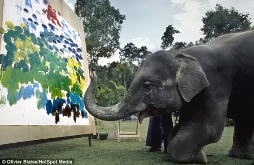 صور - مهارات الفيل الفائقة في فن الرسم بالصور