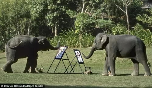 صور - مهارات الفيل الفائقة في فن الرسم بالصور والفيديو