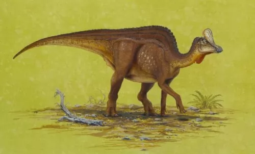 صور - كيف كانت الديناصورات تتواصل فيما بينها ؟