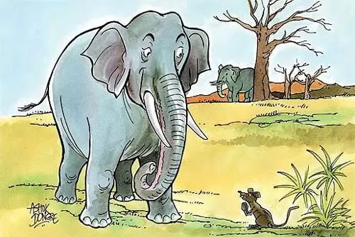 صور - قصص اطفال - قصة الفيلة وملك الفئران