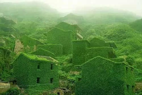 صور - القرية الخضراء واحدة من اجمل المناظر الطبيعية في الصين