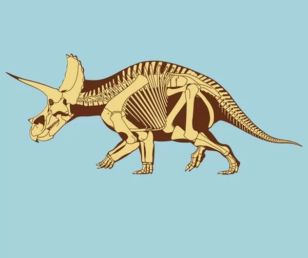 صور - معلومات عن الديناصور ترايسيراتوبس ثلاثي القرون بالصور