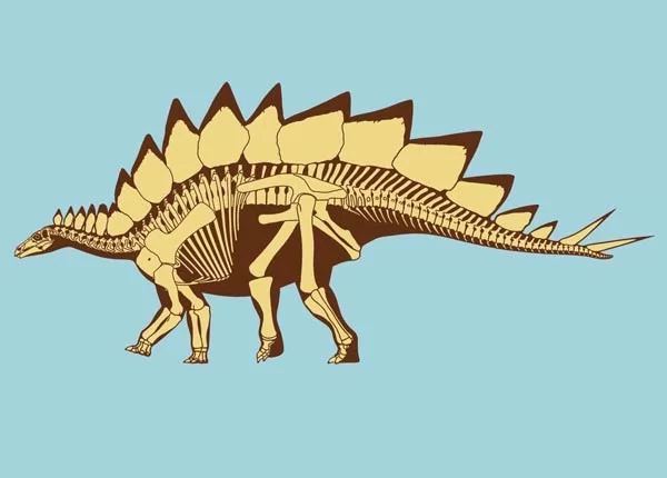 صور - معلومات عن الديناصور ستيجوسورس