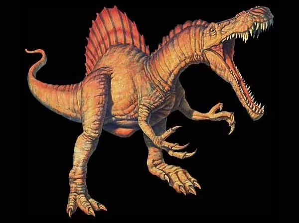 صور - ديناصور سبينوصور اكبر الديناصورات آكلة اللحوم