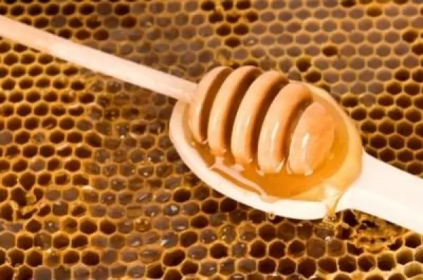 صور - العلاج بالعسل للجروح والحروق