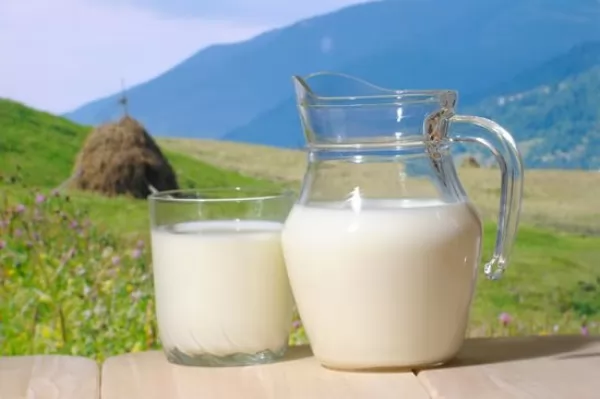 صور - ما هى فوائد الحليب لصحة الجسم ؟