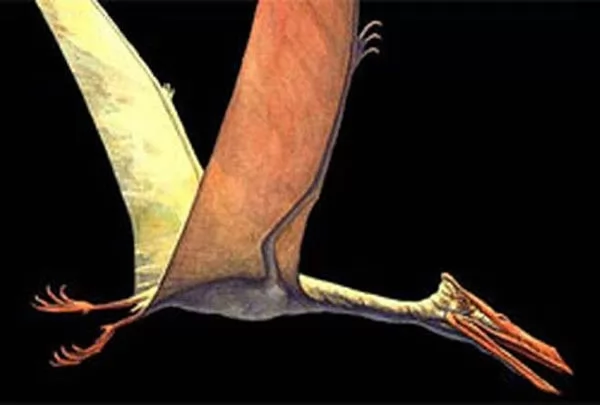 صور - التيروصورات احد انواع الديناصورات الطائرة