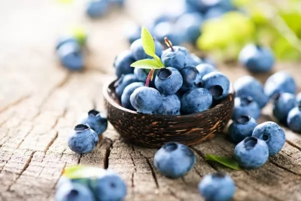 صور - حقائق عن العناصر الغذائية والفوائد الصحية للتوت الأزرق