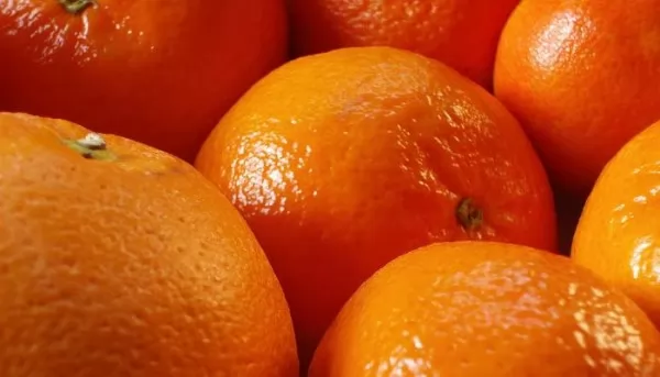 صور - ما هي فوائد البرتقال؟ و ما هي اهم عناصره الغذائية؟