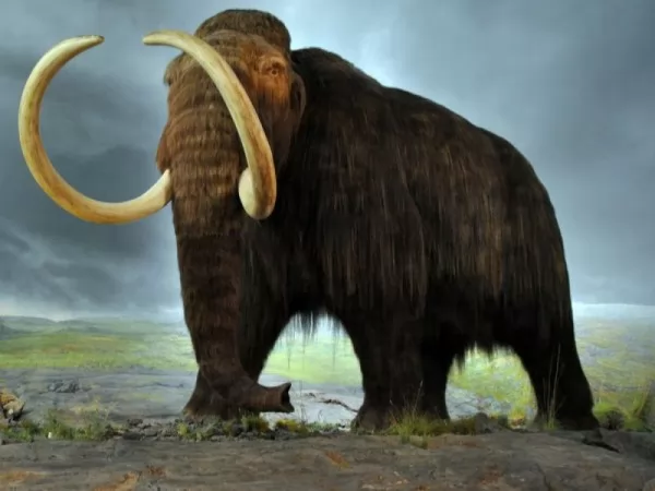 صور - هل كانت حيوانات ما قبل التاريخ كبيرة الحجم ؟