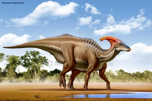 انواع ديناصورات ما قبل التاريخ