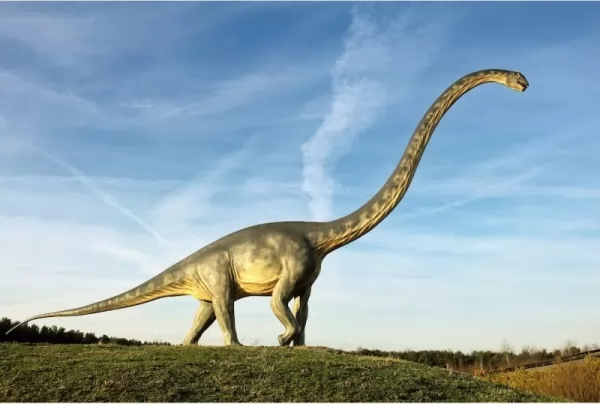 الديناصورات طويلة الرقبة