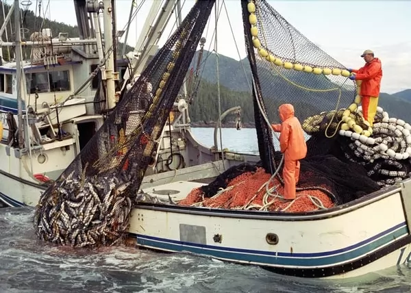الصيد التجاري من اخطر المهن في العالم