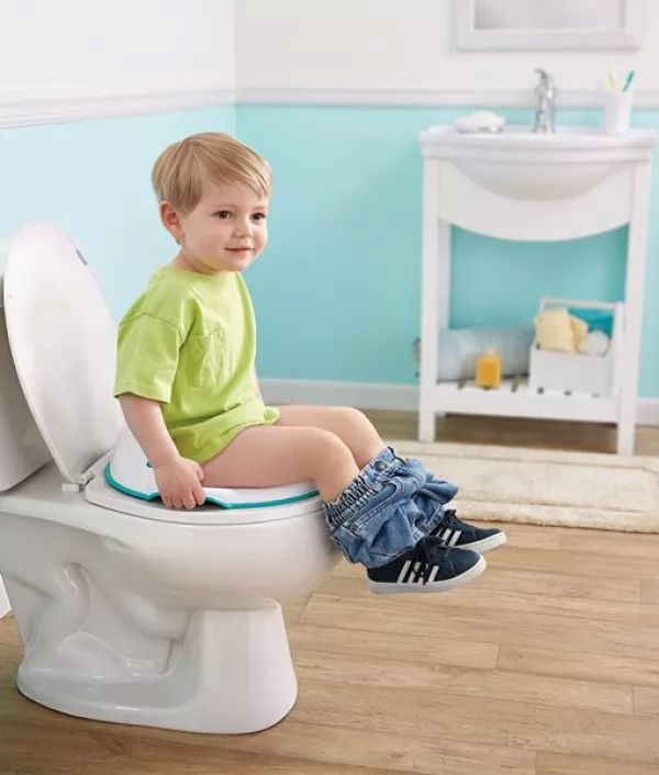 تعليم الحمام للطفل
