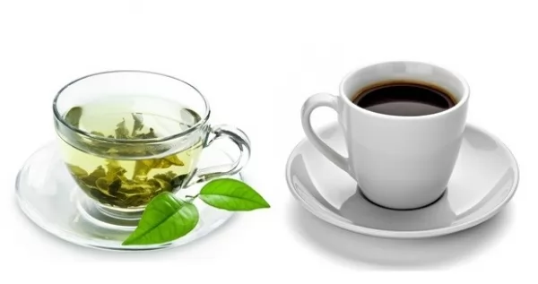 فوائد الشاي الاسود والاخضر