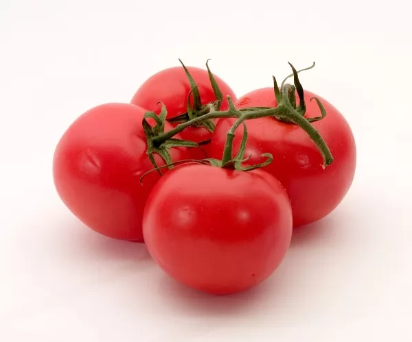 الطماطم للوقاية من السرطان 
