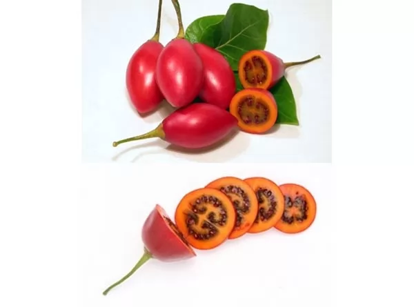 فاكهة تاماريلو من اغرب الفواكه في العالم