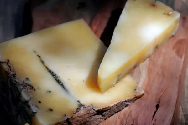 منع تعفن الجبن من اغرب استخدامات السكر