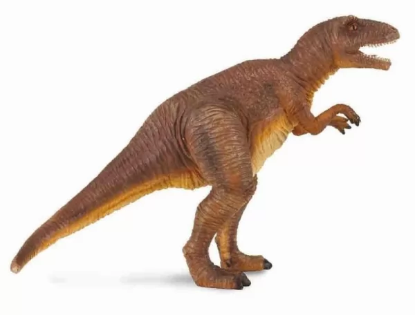ميجالوصور من الديناصورات الكبيرة آكلة اللحوم