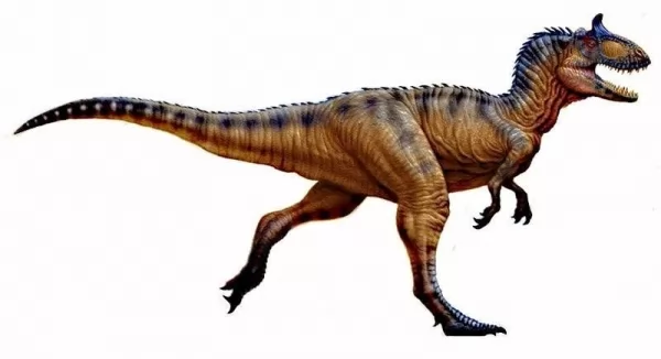 تيتانورانس من الديناصورات الكبيرة آكلة اللحوم