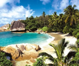 هل تحاول التخطيط لرحلة إلى شاطئ جميل هذا الصيف؟ هل تحتاج إلى القليل من الإسترخاء بجانب المياه المفتوحة والشعاب المرجانية؟ من حسن الحظ أن العالم مليء ...