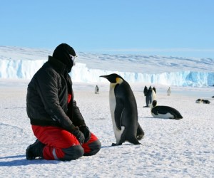ماذا يوجد في القطب الجنوبي، وهل هناك بشر يعيشون هناك؟